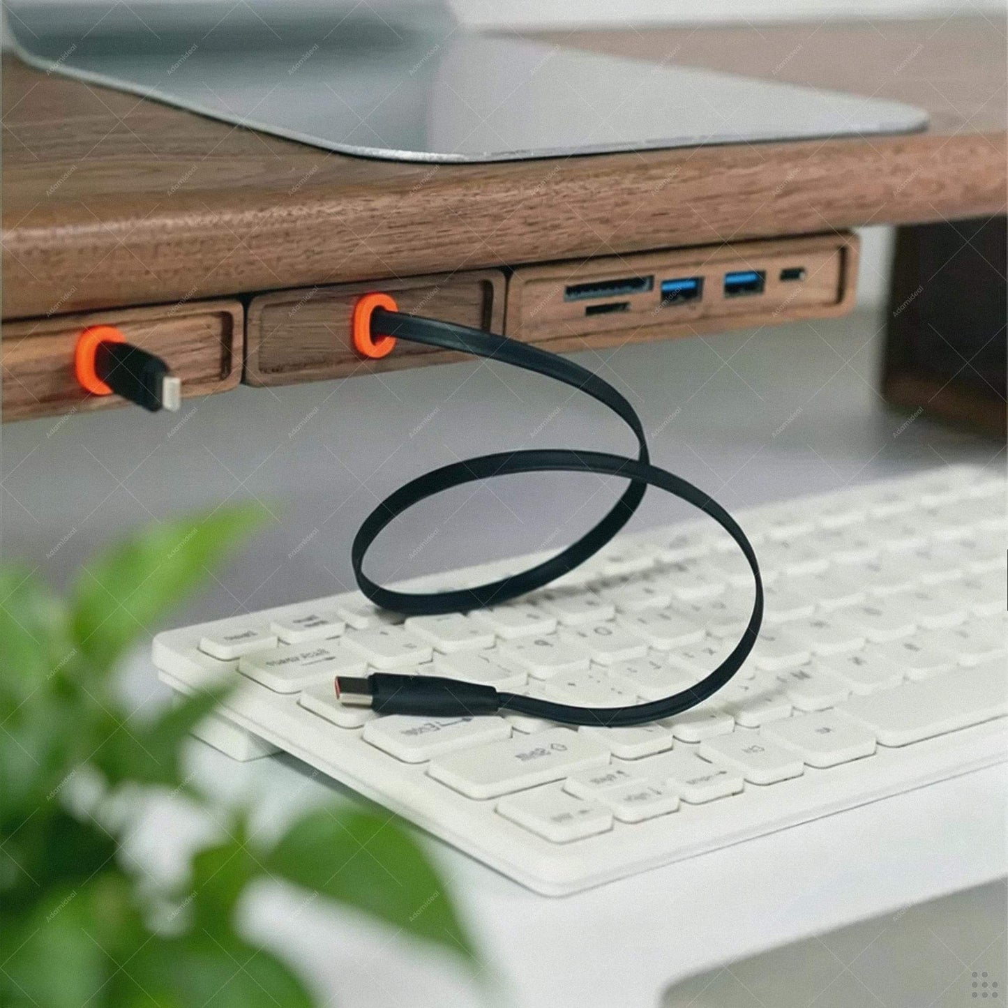 Wood Desk Organizer | Retractable Cable Box | Adhesive Cord Holder Walnut Beech